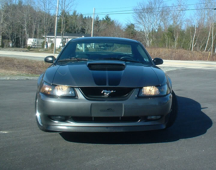 Name:  photo7.jpg
Views: 79
Size:  91.6 KB