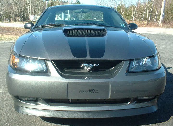 Name:  photo1.jpg
Views: 72
Size:  83.3 KB