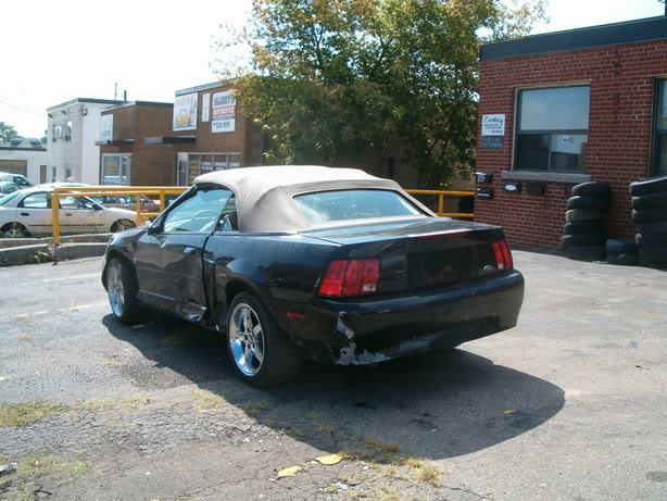 Name: HPIM1282.jpg
Views: 42
Size: 81.4 KB