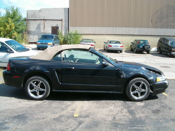 Name:  HPIM1277.jpg
Views: 31
Size:  78.4 KB