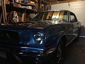 New from Northern BC-img_0186.jpg