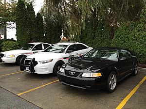 Hello from Toronto-2015-10-09-13.35.52.jpg