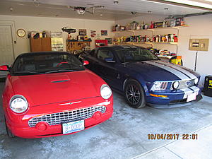 Help Please-img_2561.jpg