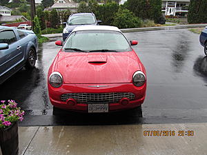 Help Please-img_1776.jpg