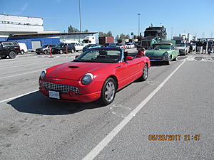 Help Please-img_2116.jpg