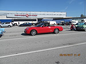 Help Please-img_2117.jpg