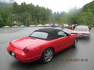 Help Please-img_2297.jpg