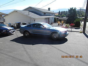 Hello Everyone-img_2572.jpg