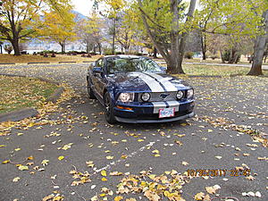 Hello Everyone-img_2671.jpg