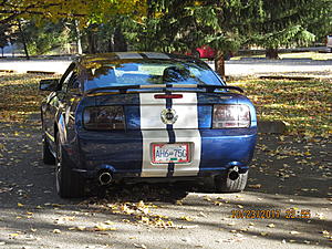 Hello Everyone-img_2626.jpg