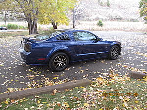 Hello Everyone-img_2675.jpg