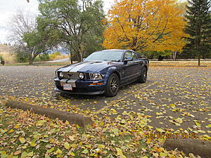 Hello Everyone-img_2694.jpg