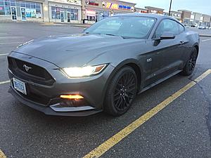 Hi all-img_3466.jpg