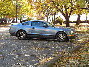 Charlottetown Newbie-img_2660.jpg