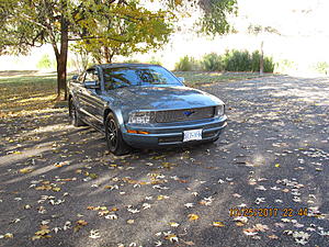 Charlottetown Newbie-img_2637.jpg