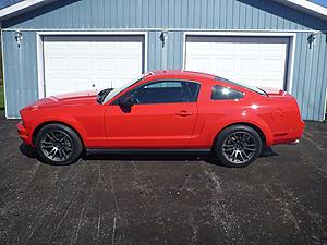 Charlottetown Newbie-p1000185.jpg