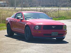 Charlottetown Newbie-p1000223.jpg