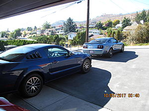 2014 Mustang GT-img_2571.jpg