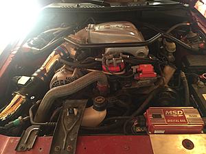 Hello from Edmonton-img_0928.jpg