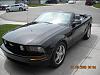 Also from Calgary-mustang-smaller.jpg