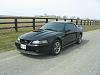 Another Newbie-03-mach1-after-tint-003.jpg