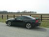Another Newbie-03-mach1-after-tint-004.jpg