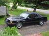 new guy in keswick-mustang.jpg