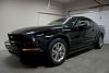 New Mustang Owner-crw_5049.jpg