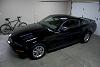 New Mustang Owner-crw_5051.jpg