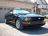 New Mustang Owner-im002448.jpg