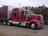 New to Mustangs-kw400x533.jpg
