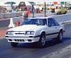 New Guy-89-notchback.jpg