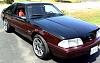 Another Mustang lover-image.jpg