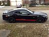 New Mustang Owner-photo.jpg