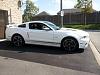 New Stang Here-20121004_121451_zpsd5ecf90d.jpg