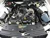 New from British Columbia-%40006-mustang-gt-019.jpg