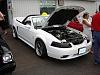 Mustang Show, Truro,NS Aug. 20th!!!-carshow6.jpg