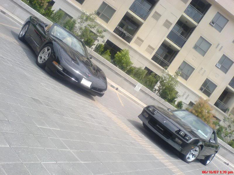 Name:  DSC00136-1.jpg
Views: 73
Size:  72.9 KB