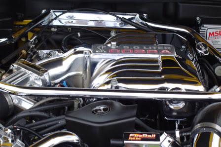 Name:  p14.jpg
Views: 30
Size:  39.1 KB