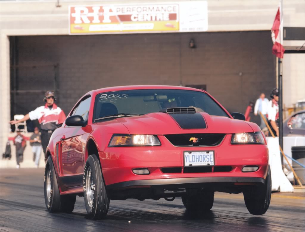 Name:  b9790387.jpg
Views: 52
Size:  88.7 KB