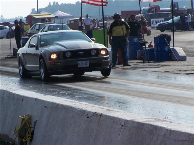 Name:  yank2.jpg
Views: 68
Size:  46.0 KB