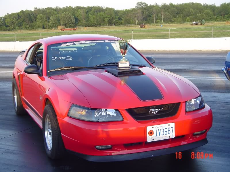 Name:  DSC01274.jpg
Views: 28
Size:  95.2 KB