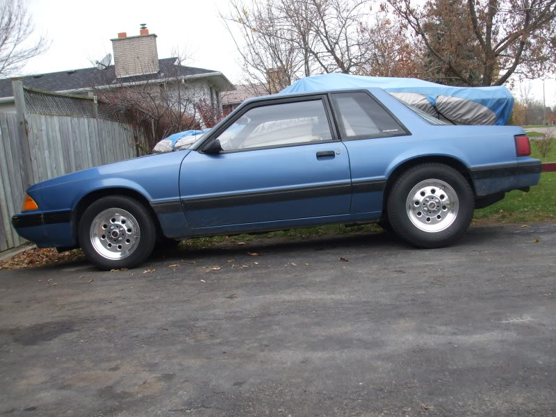 Name:  DSCF4238.jpg
Views: 76
Size:  117.5 KB