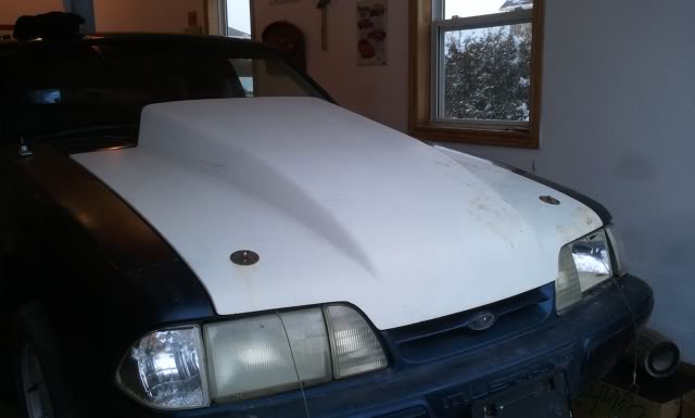 Name:  Cowlhood3.jpg
Views: 401
Size:  26.4 KB