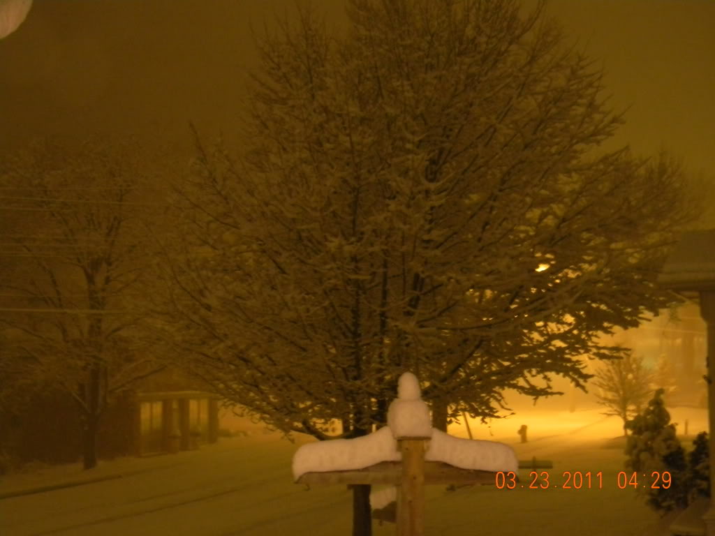 Name:  002-5.jpg
Views: 36
Size:  75.0 KB