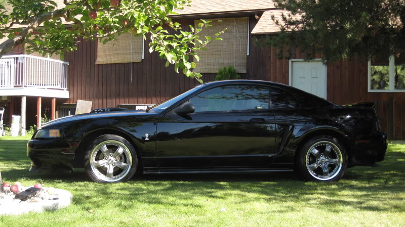 Name: 028.jpg
Views: 38
Size: 106.1 KB