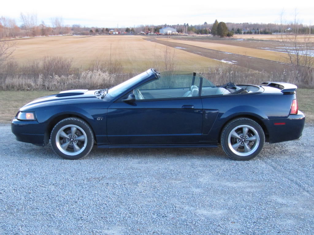 Name:  mustang004.jpg
Views: 255
Size:  193.9 KB