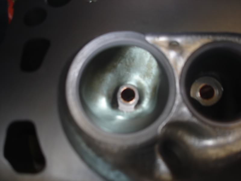 Name:  DSC04528.jpg
Views: 43
Size:  38.0 KB