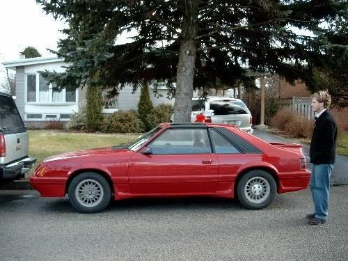 Name: stang.jpg
Views: 246
Size: 48.0 KB