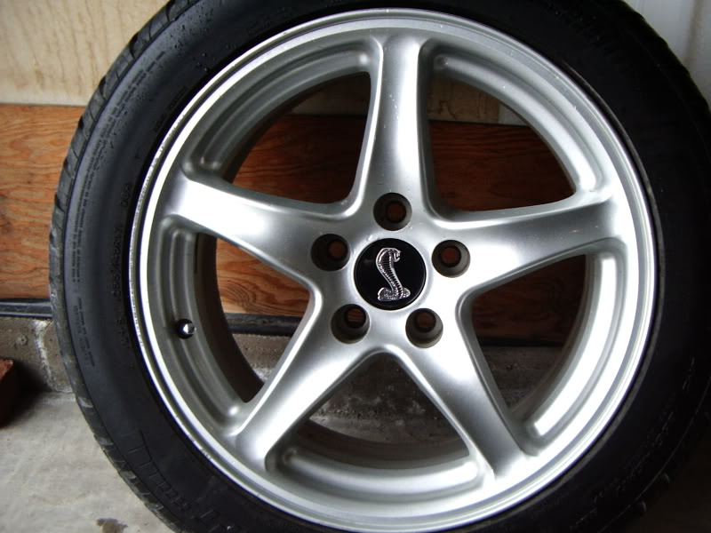 Name:  IMGP1936.jpg
Views: 22
Size:  102.9 KB